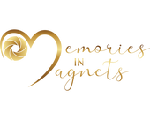 Memories in Magnets 